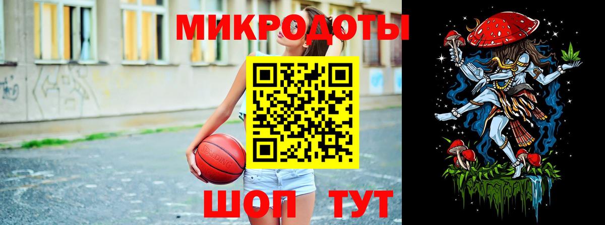 Галлюциногенные грибы Psilocybe Зеленокумск